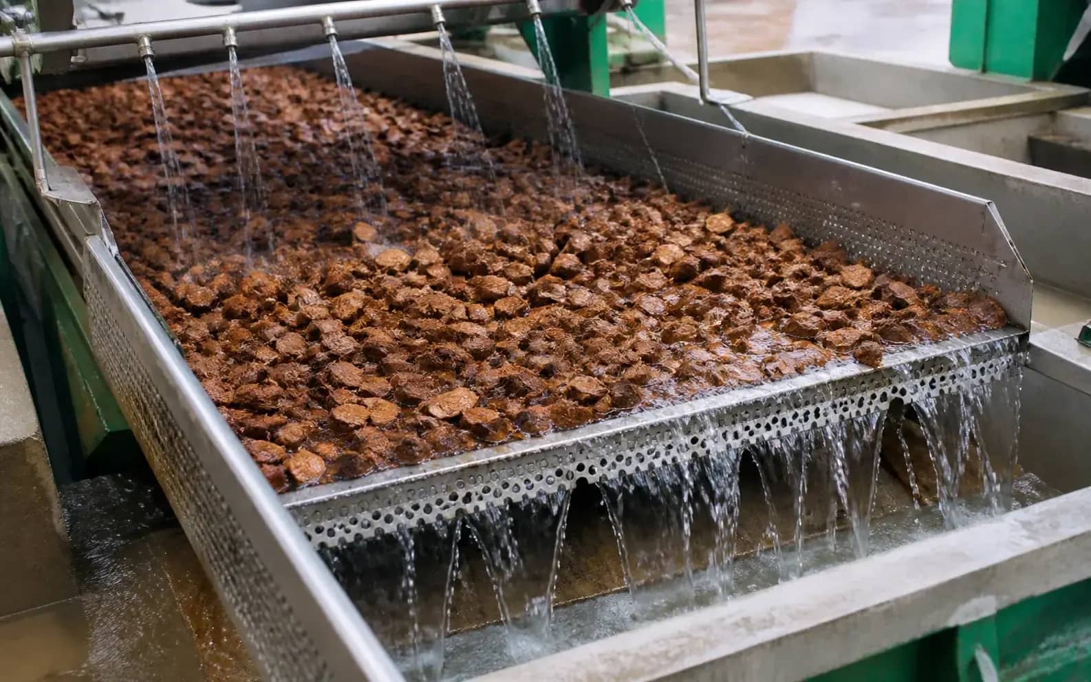 Cut coconut husk chips being washed with controlled fresh-water flow