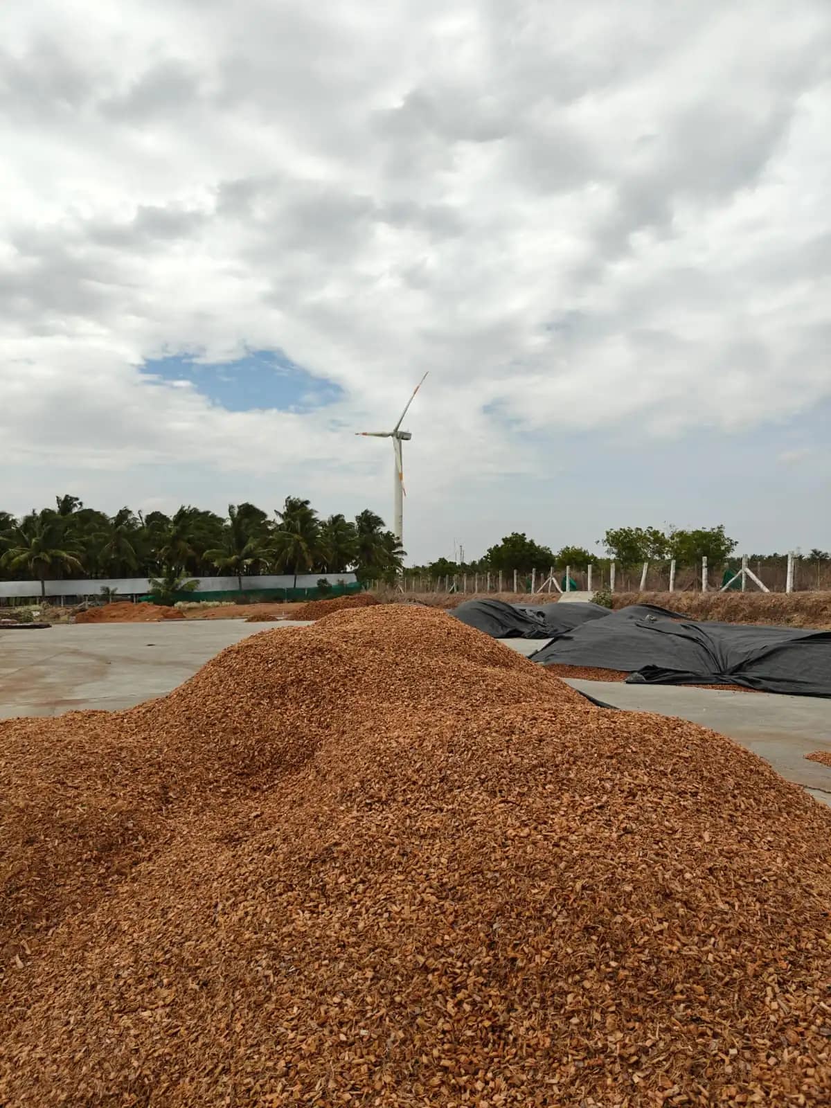 From whole coconut husk to clean, consistently sized chips.