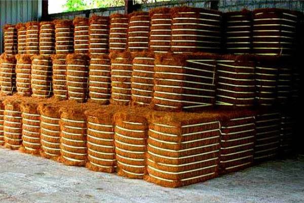 Hydraulically compressed 120 kg coir fibre bales
