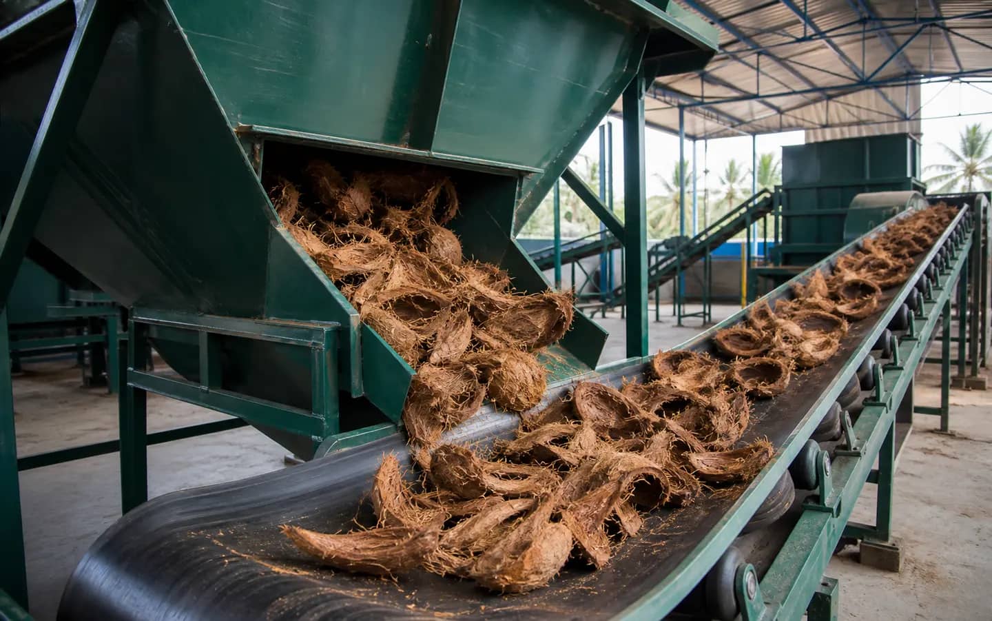 Empty fibrous coconut husks moving from a bunker onto a controlled conveyor